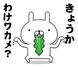 46268298