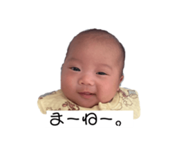 462693113
