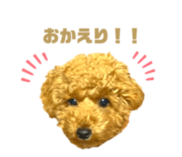 462808563