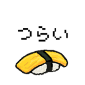 46282498