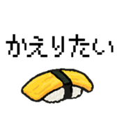 46282504