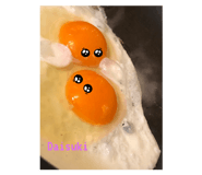 462896978