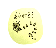 462898671