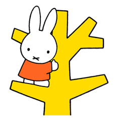4629