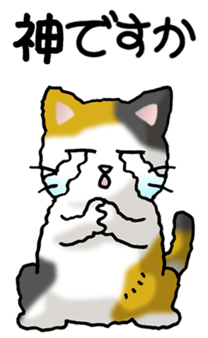 462944382