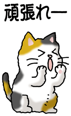 462944402