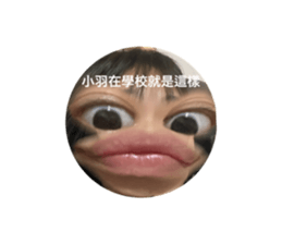 462968293