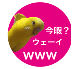 462988983