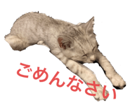 463008199