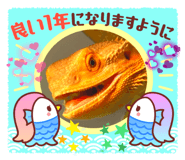 463067275