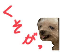 463234859