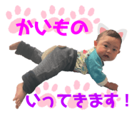 463246761