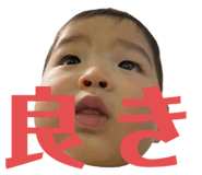 463255356