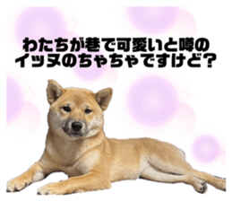 463272094