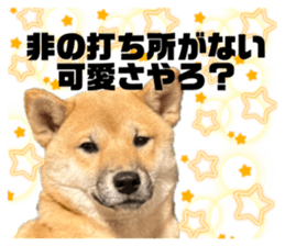 463272096