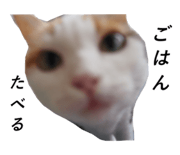 463278104