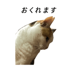 463278105