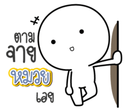 46333088