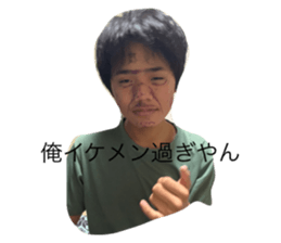 463338254