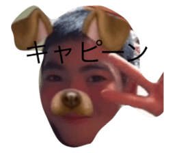 463338257