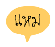 46342902