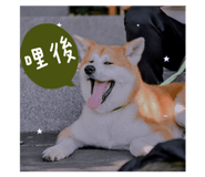 463481743