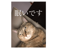 463507336