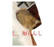 463507341