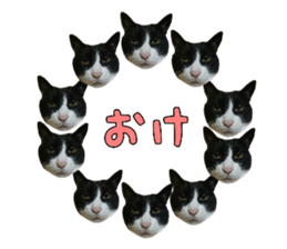 463577918