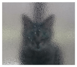 463577942