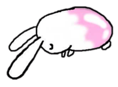 4636994