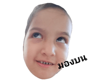 46380905