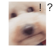 463833906