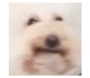 463833932