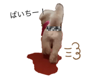 463833939