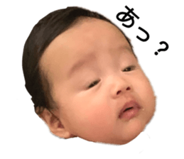 463881190