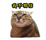 46388567