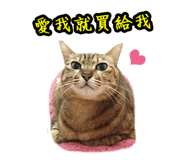 46388568