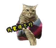 46388570