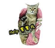46388572
