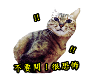 46388578