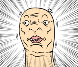 46395329