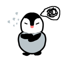 46395797
