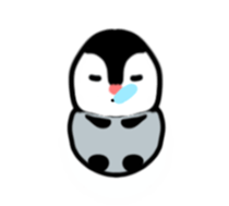 46395799