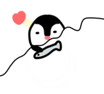 46395806