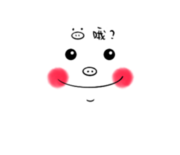 464018284