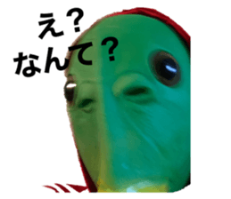 464029952
