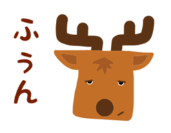 46413737