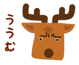 46413740