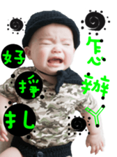46425582